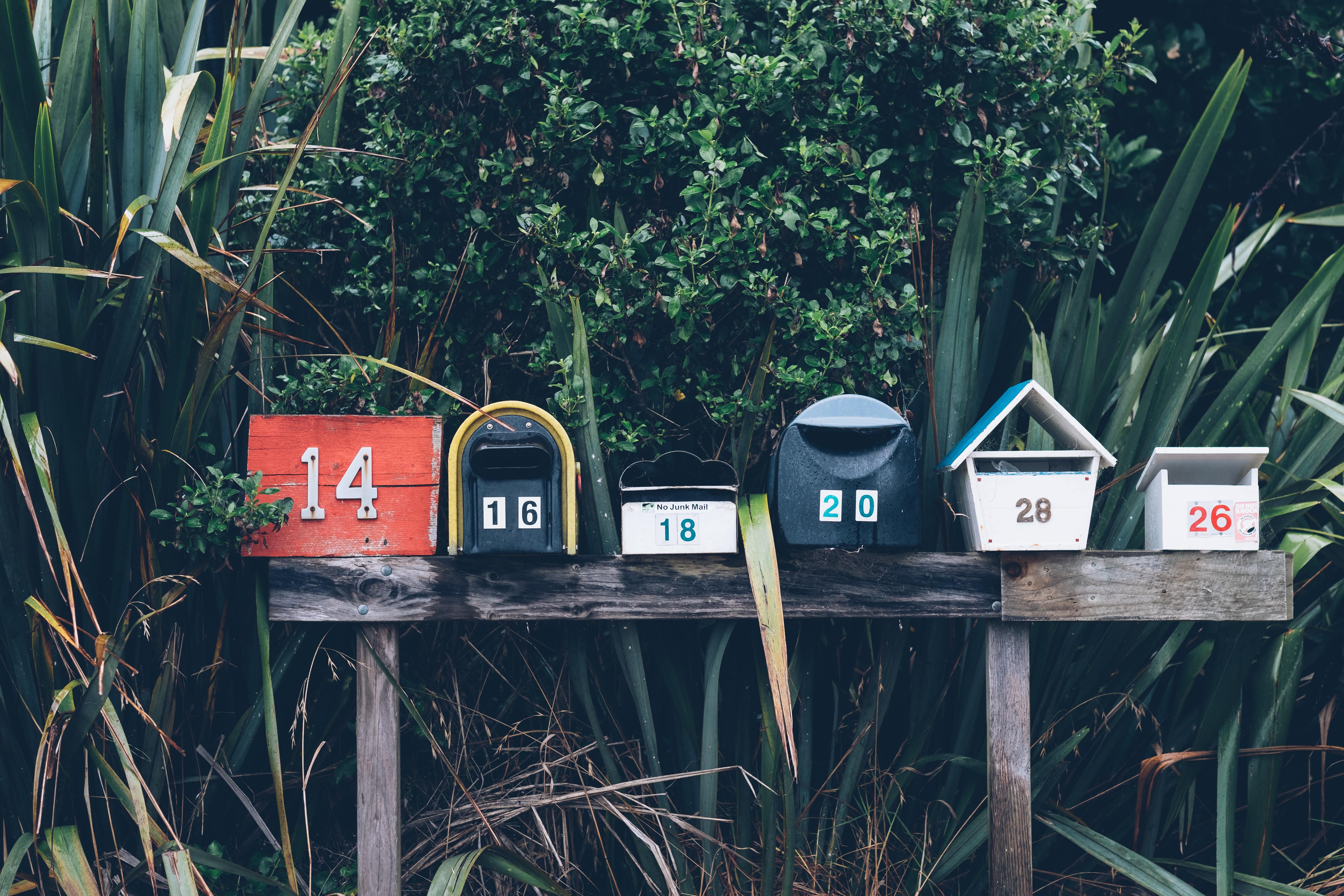 Best Newsletters WordPress Plugins